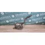 Глушник Вихлопна задня Skoda Octavia A5 1.6 бензин BSE/BSF 1K5253609 Глушник Вихлопна задня Skoda Octavia A5 1.6 бензин BSE/BSF 1K5253609