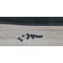 Шумоізоляція капота Skoda Octavia A5 1Z0863831A Шумоізоляція капота Skoda Octavia A5 1Z0863831A