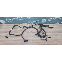 Проводка двигуна моторного відсіку Skoda Octavia Tour 1.6 BfQ VAG (06A971627SG)