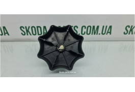 Болт кріплення запаски Skoda Octavia tour 1J0803899L VAG (1J0803899L)