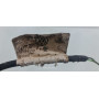 Проводка датчика абс передня права Skoda Octavia A5 1K0927903F вживана VAG (1K0927903F)