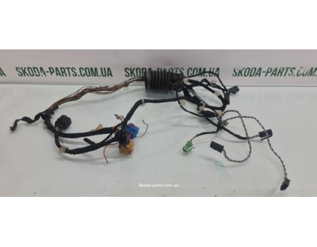 Проводка дверей передня ліва Skoda Octavia Tour 1U0971120BE вживана VAG (1U0971120BE)