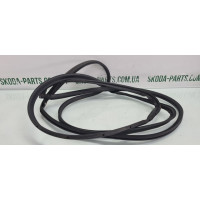 Ущільнювач на двері задні праві Skoda Octavia A5 ліфтбек вживаний 1Z5839698A VAG (1Z5839698A)