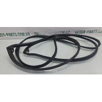 Ущільнювач дверей задній правий комбі Skoda Octavia A5 1Z9839698C VAG (1Z9839698C)