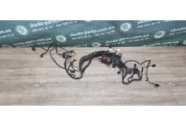 Проводка двигуна 2.5 TDI Skoda Superb VAG (3B1971072DGA)