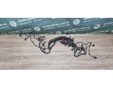 Проводка двигуна 2.5 TDI Skoda Superb VAG (3B1971072DGA)