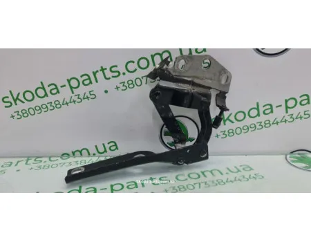 Заіс петля капота, ліва чорна Volkswagen Passat B6 3C0823301E VAG (3C0823301E) Заіс петля капота, ліва чорна Volkswagen Passat B6 3C0823301E VAG (3C0823301E)