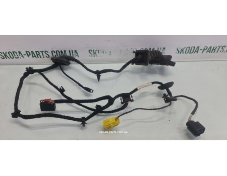 Проводка дверей передня ліва Volkswagen Passat B6 3C1971120AG VAG (3C1971120AG)