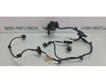 Проводка дверей задня ліва Volkswagen Passat B6 3C4971693FD VAG (3C4971693FD)