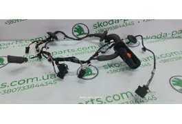 Проводка дверей задня права Skoda Superb 2 3T0971162F VAG (3T0971162F)