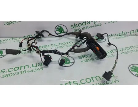 Проводка дверей задня права Skoda Superb 2 3T0971162F VAG (3T0971162F)