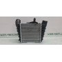 Радіатор інтеркулера 1.9tdi Skoda Fabia 6Q0145804 VALEO (6Q0145804)