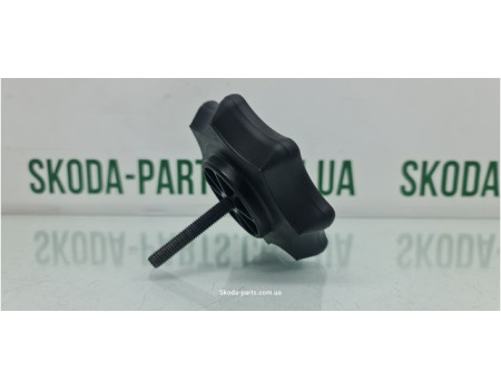 Болт кріплення запасного колеса Skoda Fabia 6Q0803899A VAG (6Q0803899A)
