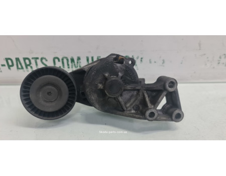Натяжний ролік ремня генератора 1.9tdi Skoda Octavia Tour VAG (950372)