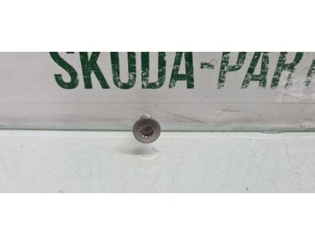 Болт кріплення петлі дверей Skoda вживаний N90798502 VAG (N90798502)